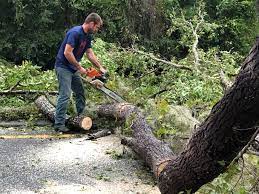 Best Weed Control  in Rouse, CA